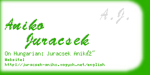 aniko juracsek business card